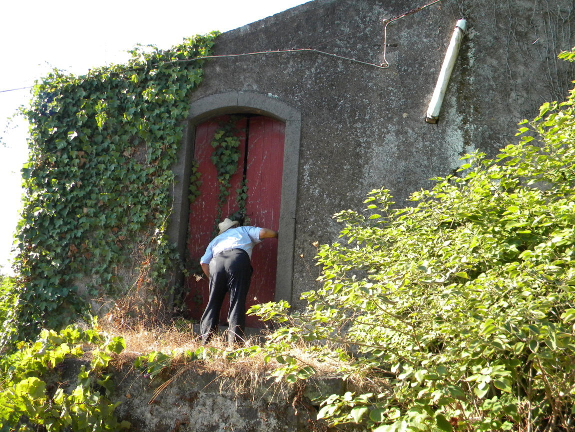 DSCN8052 .JPG